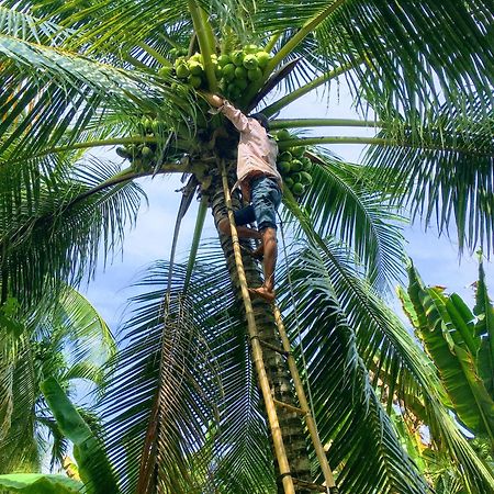 Coco Happy Farm Vila Ben Tre Exterior foto