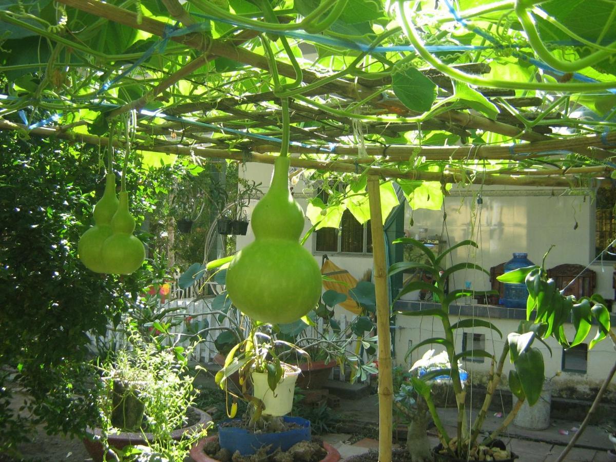 Coco Happy Farm Vila Ben Tre Exterior foto