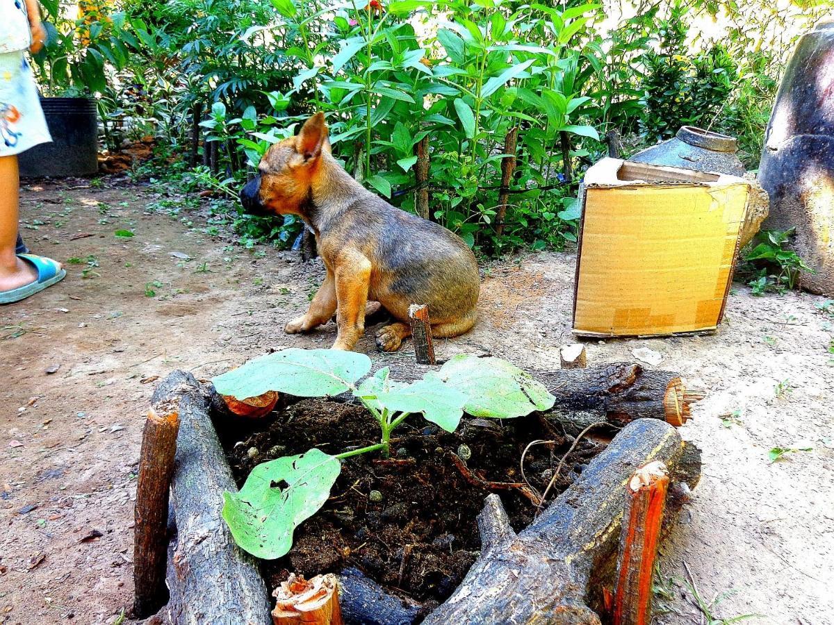 Coco Happy Farm Vila Ben Tre Exterior foto