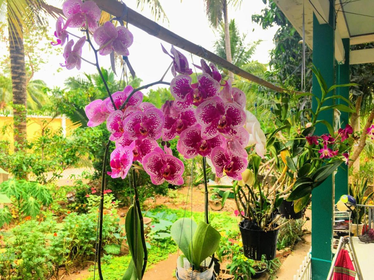 Coco Happy Farm Vila Ben Tre Exterior foto