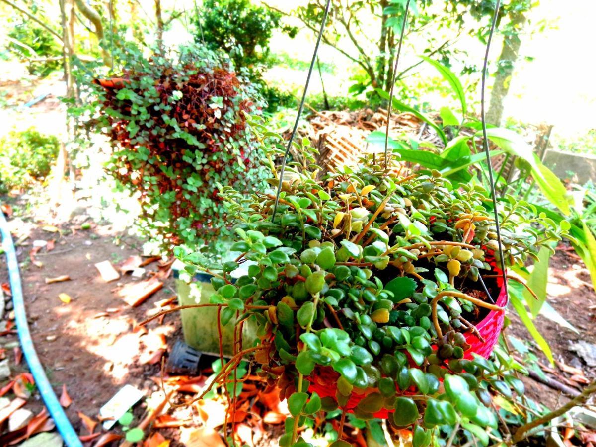 Coco Happy Farm Vila Ben Tre Exterior foto