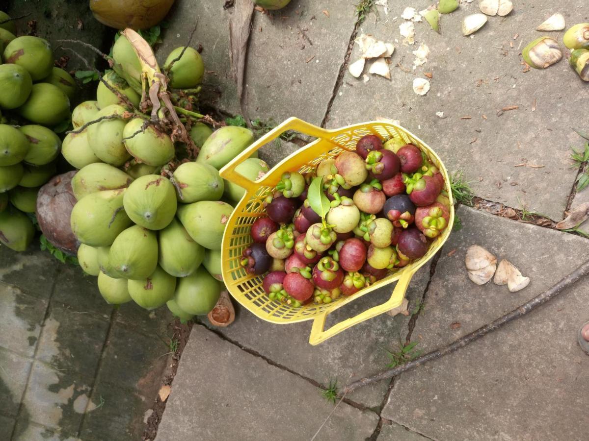 Coco Happy Farm Vila Ben Tre Exterior foto