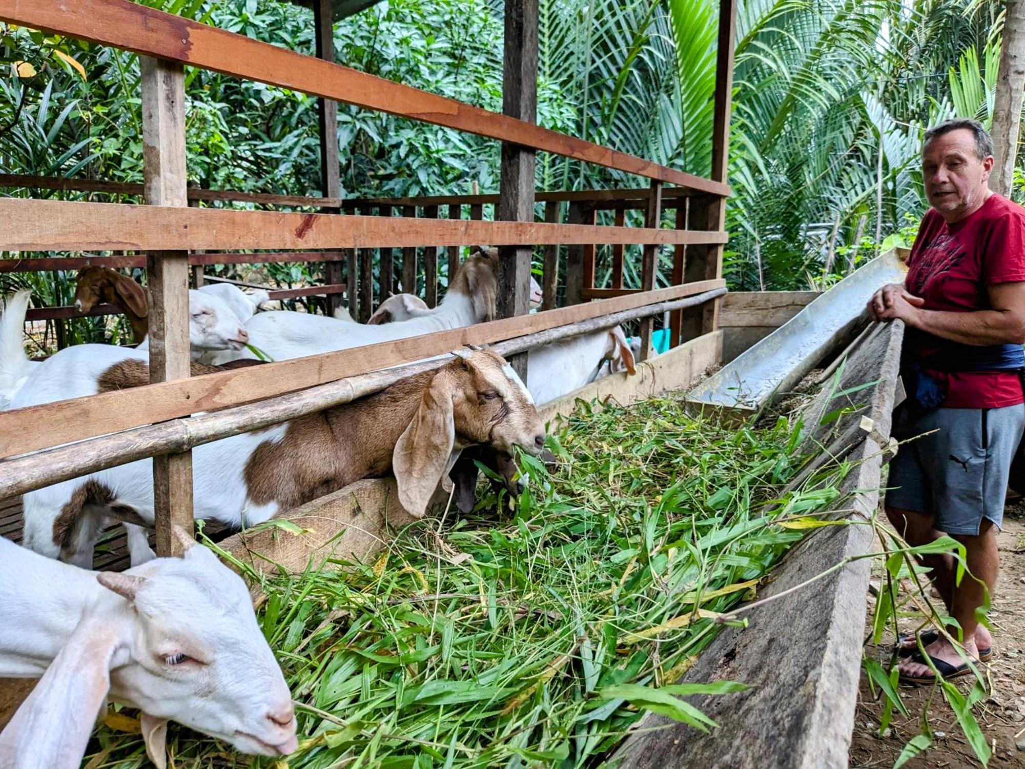 Coco Happy Farm Vila Ben Tre Exterior foto